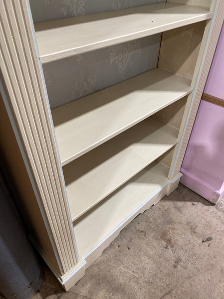 Tall Painted Bookcase