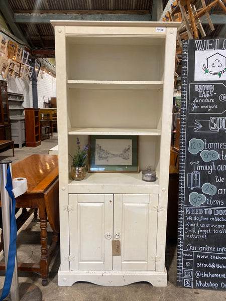 Painted Bookshelf & Cupboard