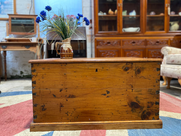 Antique Pine Trunk