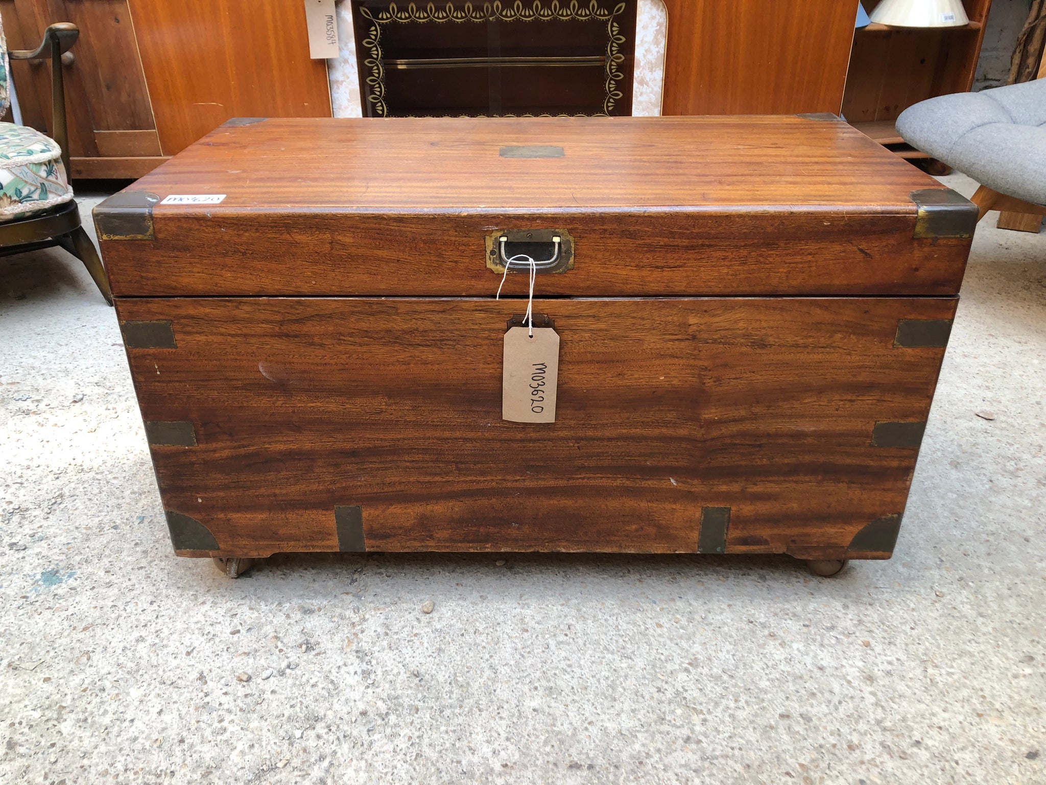 Victorian Camphorwood Campaign Trunk