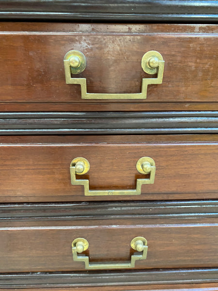 Mahogany Specimen Drawers