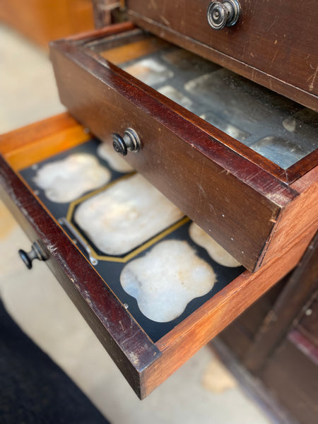 GHC - Antique Mahogany Specimen Cabinet