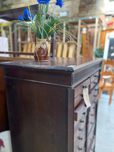 GHC - Antique Mahogany Specimen Cabinet