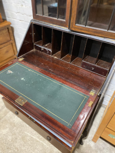 Tall Bureau Display Cabinet