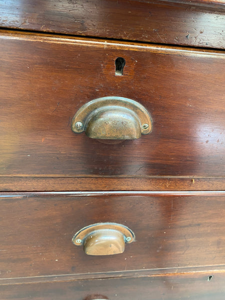 Edwardian Solid Wood Chest of Drawers