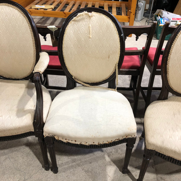 Mahogany Five Medallion Chairs *Project*