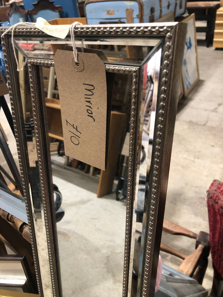 Long mirror